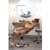 Reclining Salon Chair, Reclining Barber Chair, All Purpose Salon Chair